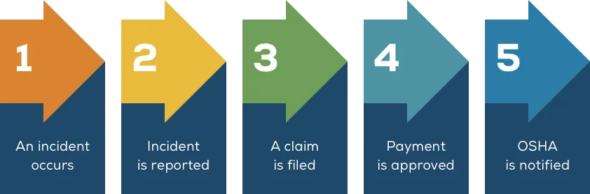 Guide to claims